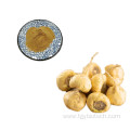 Hot Sale 100% 10:1 20:1 Maca Root Extract